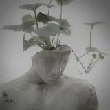 EUPHORIAmusic