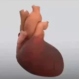 Health and Fitness™ - фитнес и здоровье