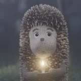 Hedgehog in the fog play TON