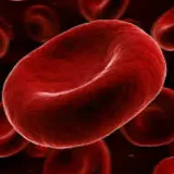 hematología. 1 - medicina