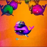 HiWhaleNews-Whale News.