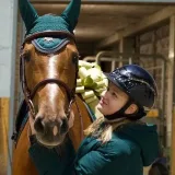Horse_blog - Horse blog.