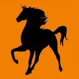 HorseMarket - productos ecuestres