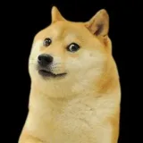 Howl Talk- La verdad no está adorada.
