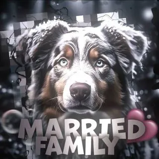 Married family - семейная жизнь