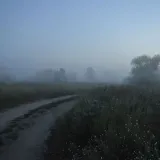I am calm - спокойный контент
