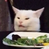 Humorkanal - memes and videos DE