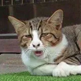 HUMOR RECEH - anti-stress humor