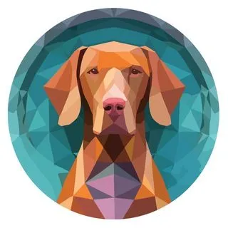 Hungarian Vizsla Inu - мем-коин