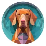 Moneda húngara Vizsla Inu-Meme