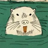 Soy una nutria 🐀🦫🐁 animales