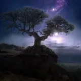 Soñador - Sueños y Fotos