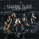 ShoebillTweet - tweets