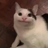 Ignore Please- backup channel