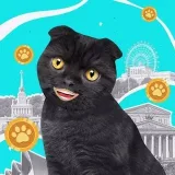 Москва 24 Mini App - новости