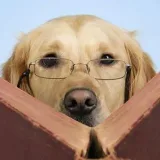 Information Retriever - поиск информации
