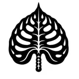 InocencioPlantas - plantas raras