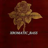 XROMATIK_BASS - Bass hits.