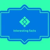 Datos interesantes- Datos interesantes