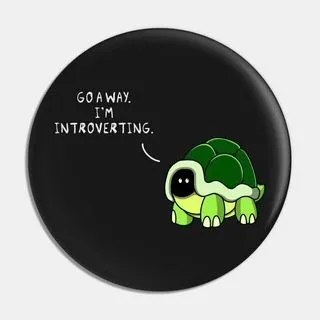 Introverts' shell - для интровертов
