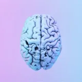 IQ Test - Knowledge Level