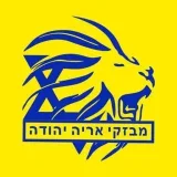 אריה יהודה - израильские новости