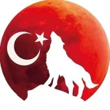 Istanbul Wolf - Istanbul news