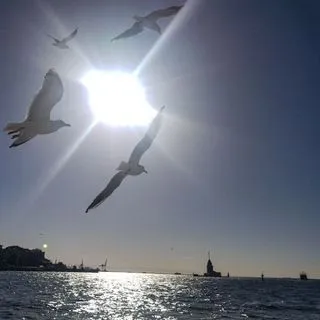 İstanbul - любительские фото