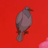 It’s a Bird - cartoon series and facts