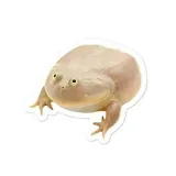 Wednesday- memes all week