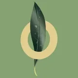 MyOLife- Suplementos y cosméticos