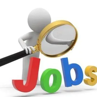 Información sobre el empleo 228 - Empleo
