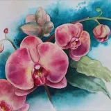 Julia Spicy- Drawing and art.
