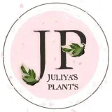 Plantas de Juliya - plantas de la casa