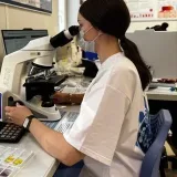 veterinario junior - Veterinaria.