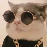 局外翻 - Tiktok video