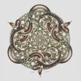 K. Esotérico-esotérico y tarot