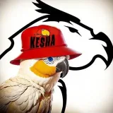 Kesha Design - trabajos de diseño