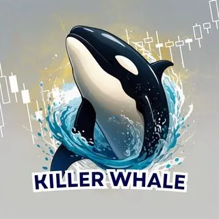 Killer Whales - VIP сигналы китов