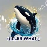 Killer Whales - VIP сигналы китов