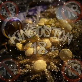 KINGOSTON - развлекательный канал