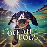 Ocean Dogs - contenido informativo