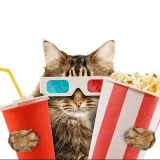 Kinomaniya - películas y series