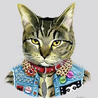 Kitty Punk - стильные коты
