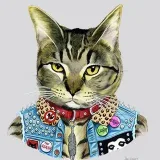 Kitty Punk - стильные коты