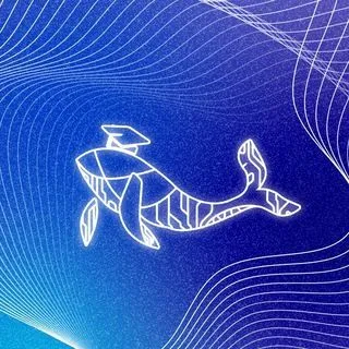 KIT++ - студенчество IT