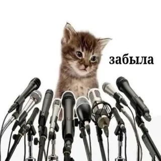 анюта… где?😱 - новости Караганды