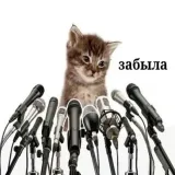 анюта… где?😱 - новости Караганды