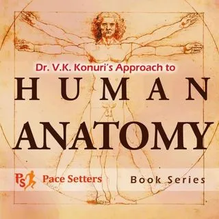 Konuri's Anatomy - анатомия