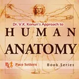 Konuri's Anatomy - anatomy